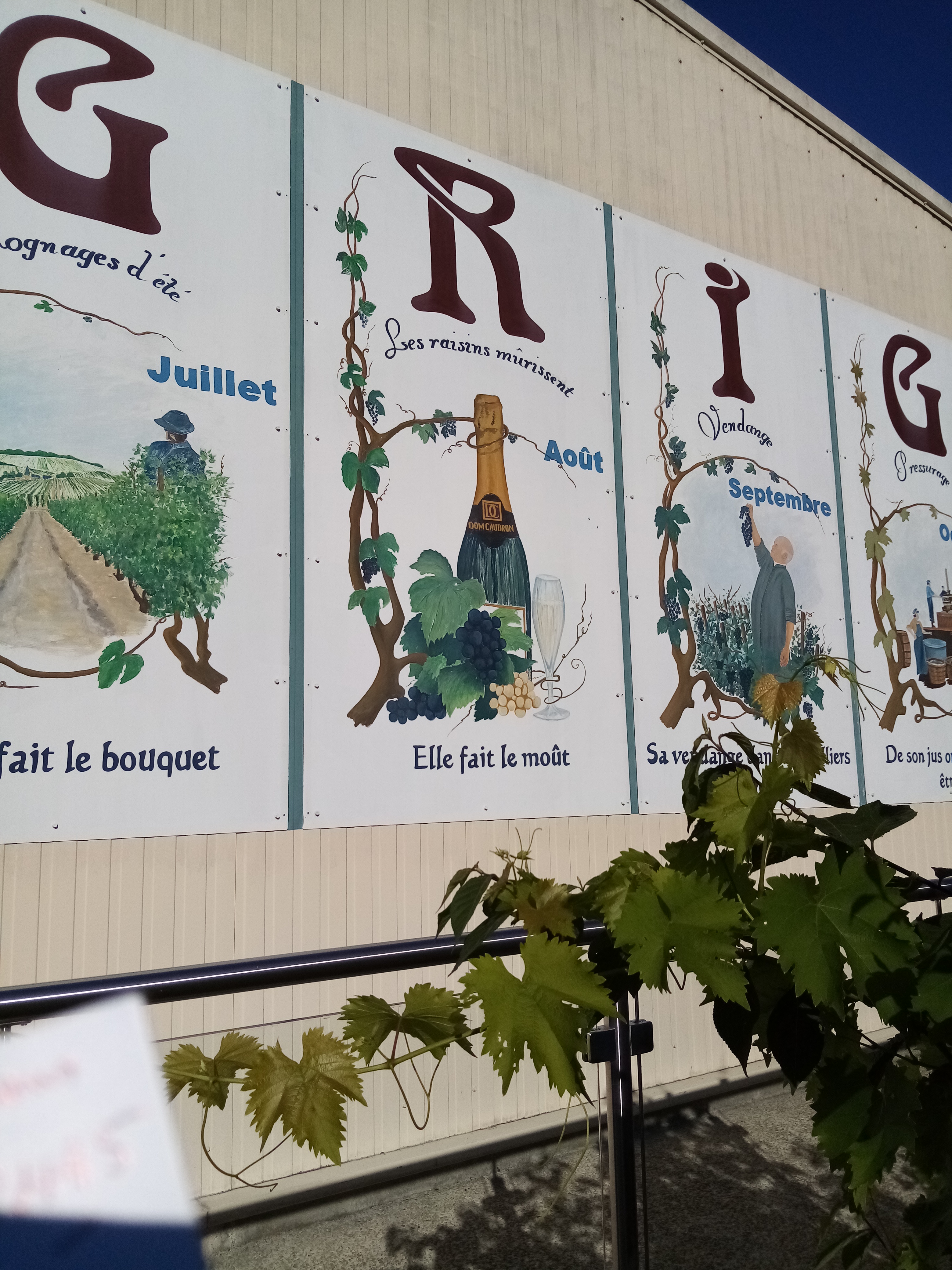 Photo n° 3 de l'avis de Patricia.a fait le 10/08/2022 à 16:23