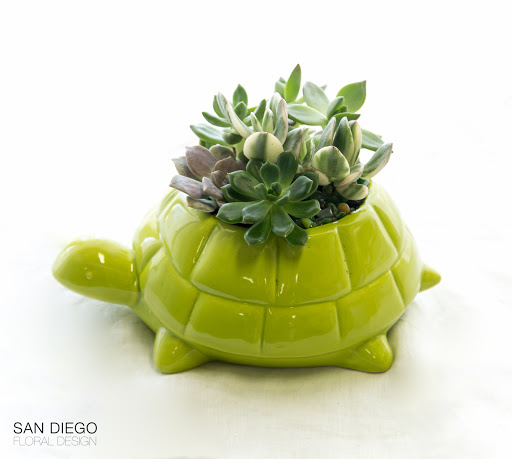 Florist «San Diego Floral Design», reviews and photos, 2415 San Diego Ave #105, San Diego, CA 92110, USA