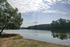 Linganamakki Reservoir image