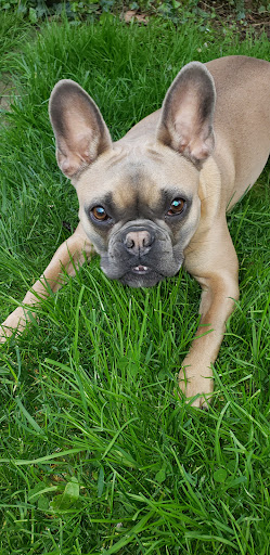 2333 Penn Ave, West Lawn, PA 19609, USA