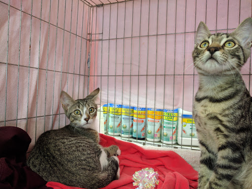 Pet Supply Store «Petco Animal Supplies», reviews and photos, 8500 Henry Ave #10, Philadelphia, PA 19128, USA