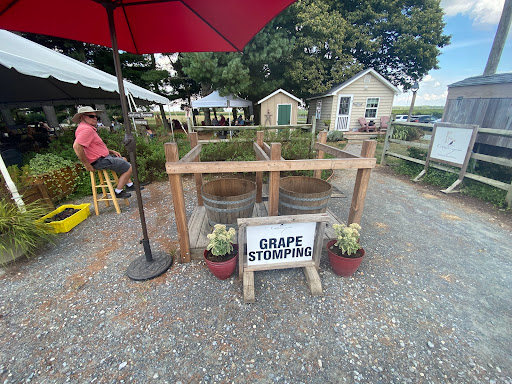 Vineyard «Crow Farm», reviews and photos, 12441 Vansant Corner Rd, Kennedyville, MD 21645, USA