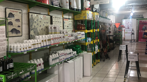 Empresa de fumigación y control de plagas Chihuahua