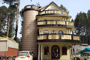 Ziro Palace Inn image