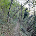 Photo n°23 de l'avis de massimo.i fait le 07/12/2021 à 21:37 sur le  Eremo Monte Barro à Galbiate