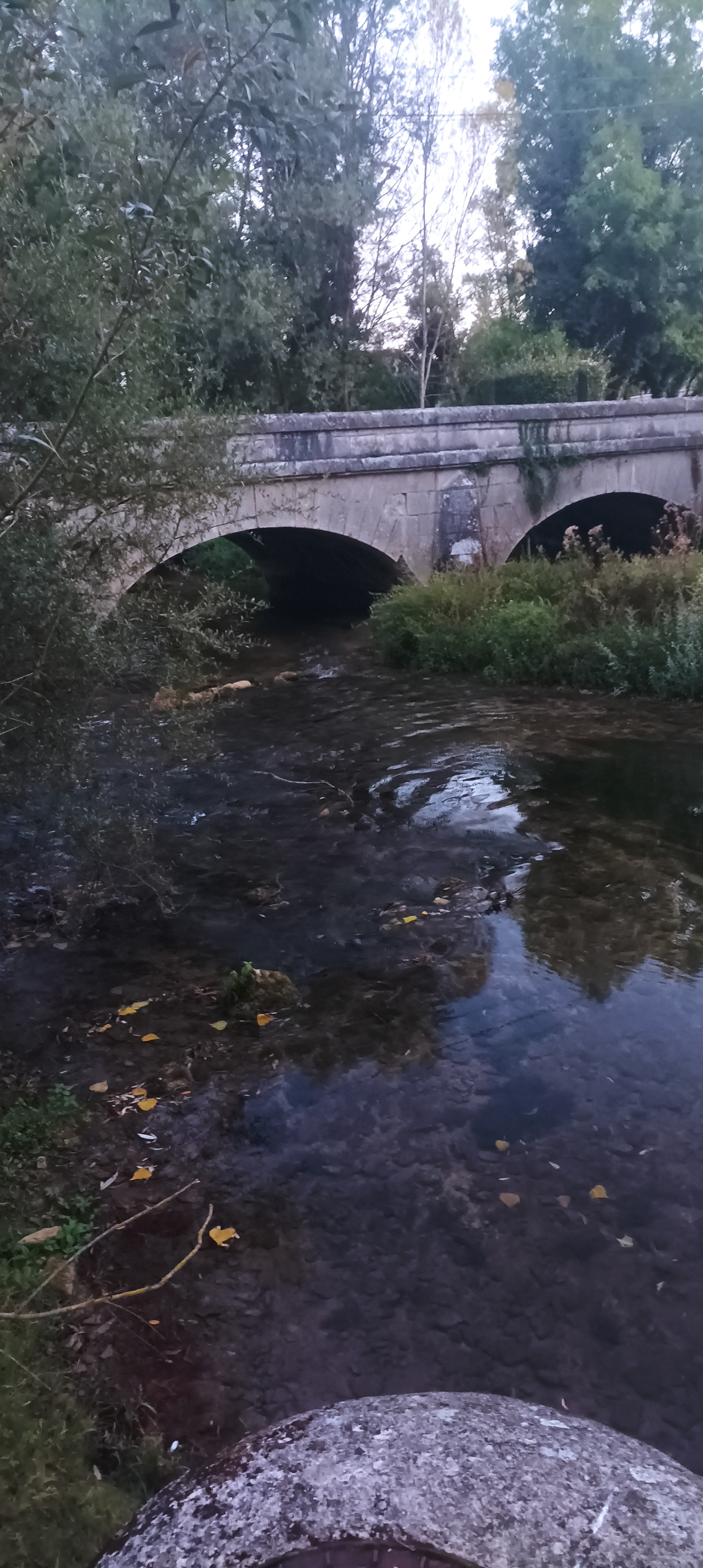 Photo n° 4 de l'avis de Didier.t fait le 12/10/2023 à 09:37