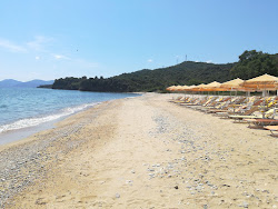 Photo de Solymar Beach avec un niveau de propreté de assez propre