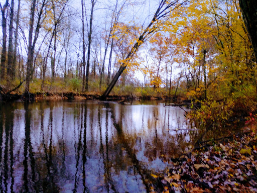 Mill «Sharon Mills County Park», reviews and photos, 5701 Sharon Hollow Rd, Manchester, MI 48158, USA