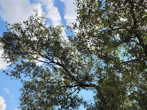 Park «Amelia Earhart Park», reviews and photos, 401 E 65th St, Hialeah, FL 33013, USA