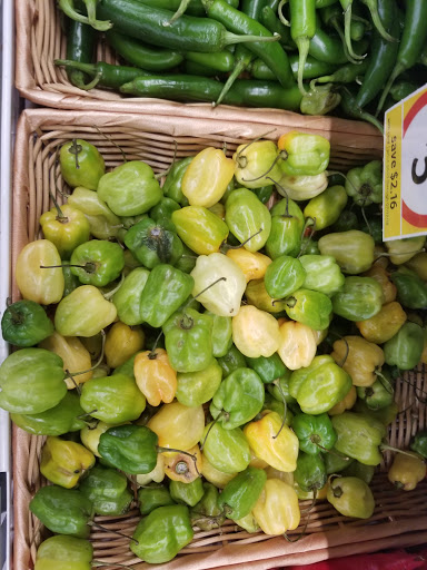 Grocery Store «Winn-Dixie», reviews and photos, 1515 Bienville Blvd, Ocean Springs, MS 39564, USA