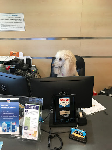 Auto Repair Shop «German Car Depot», reviews and photos, 2130 Fillmore St, Hollywood, FL 33020, USA