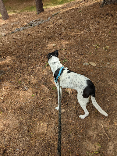 Park «East Cobb Park», reviews and photos, 3322 Roswell Rd, Marietta, GA 30068, USA