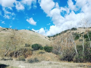 Higginbotham Park - photo 46
