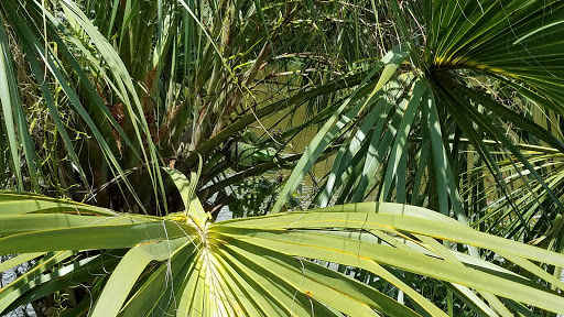 Park «Easterlin Park», reviews and photos, 1000 NW 38th St, Oakland Park, FL 33309, USA