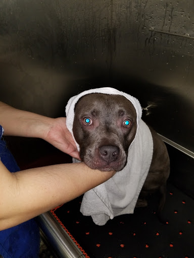 Pet Supply Store «IncrediPet», reviews and photos, 306 Southland Dr, Lexington, KY 40503, USA