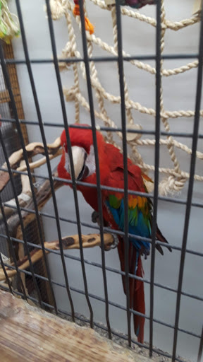 Pet Store «Fin-N-Feather», reviews and photos, 2931 F St, Eureka, CA 95501, USA