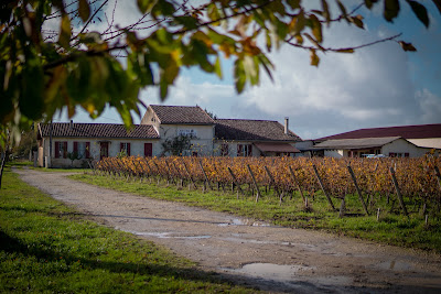 Château Vieux Landat à Cissac-Médoc