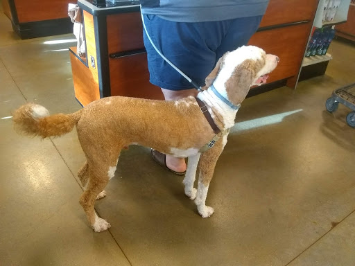 Pet Supply Store «PetSmart», reviews and photos, 601 Centerview Blvd, Kissimmee, FL 34741, USA