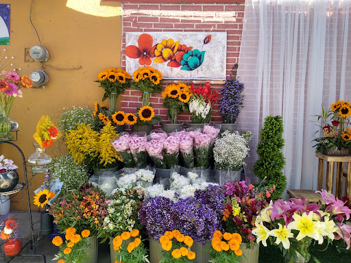 Floristería La Piedad – Zacatelco