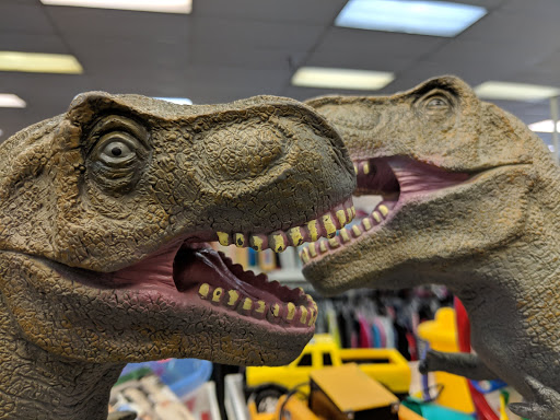 Thrift Store «Goodwill Industries», reviews and photos, 557 E Michigan Ave, Saline, MI 48176, USA