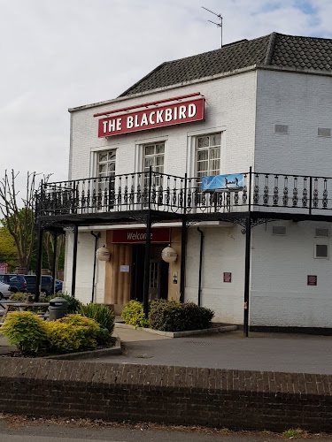 The Blackbird - Leicester