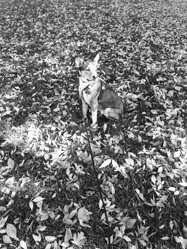 Park «Observatory Park», reviews and photos, 2100 S Fillmore St, Denver, CO 80210, USA