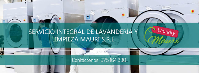 LAUNDRY MAURI - Servicio Integral de Lavandería y Limpieza Mauri S.R.L