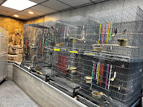 Our Feathered Friends - Photo 3 - Car repair in San Diego, CA, San Diego