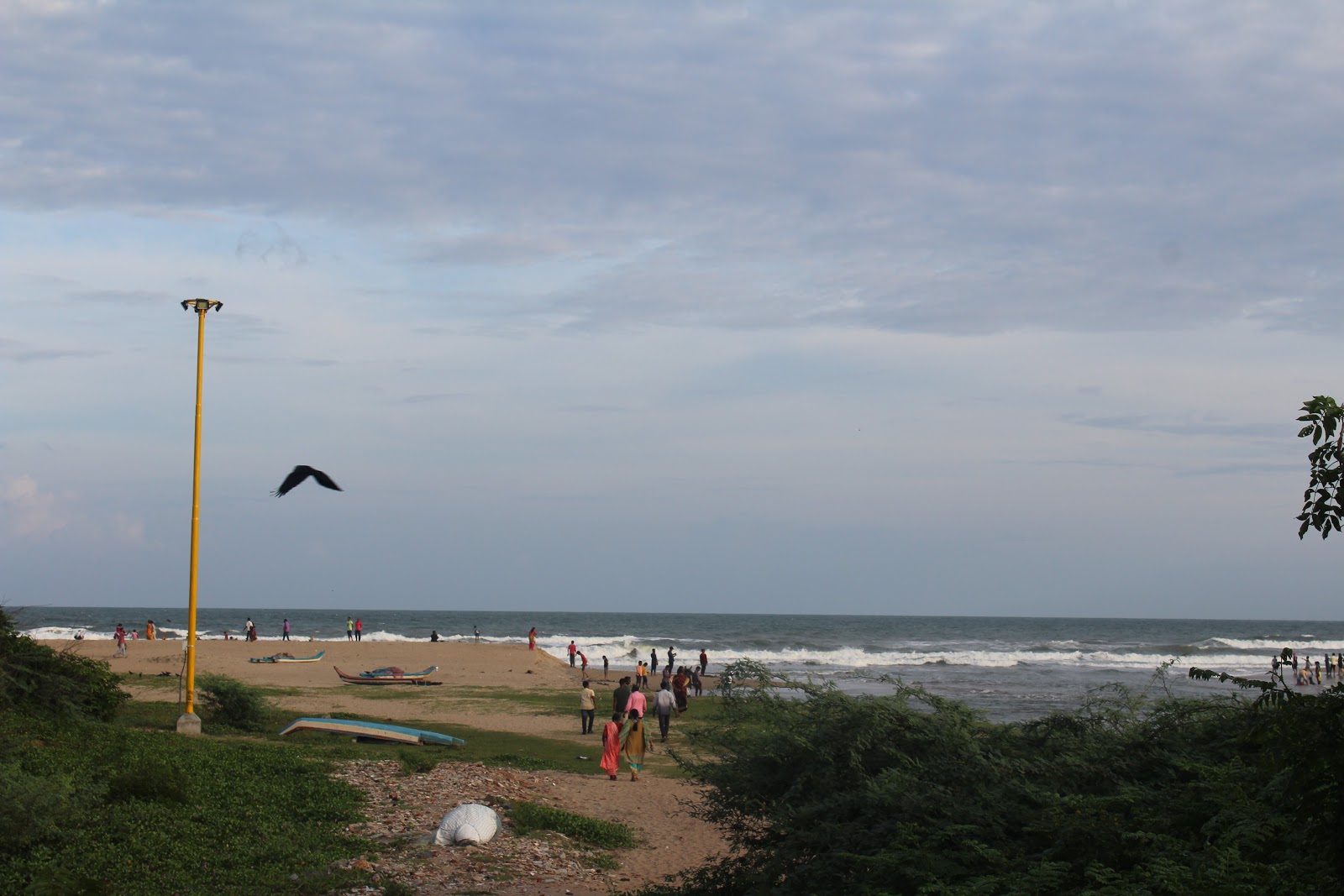 Fotografija Kalpakkam Beach divje območje