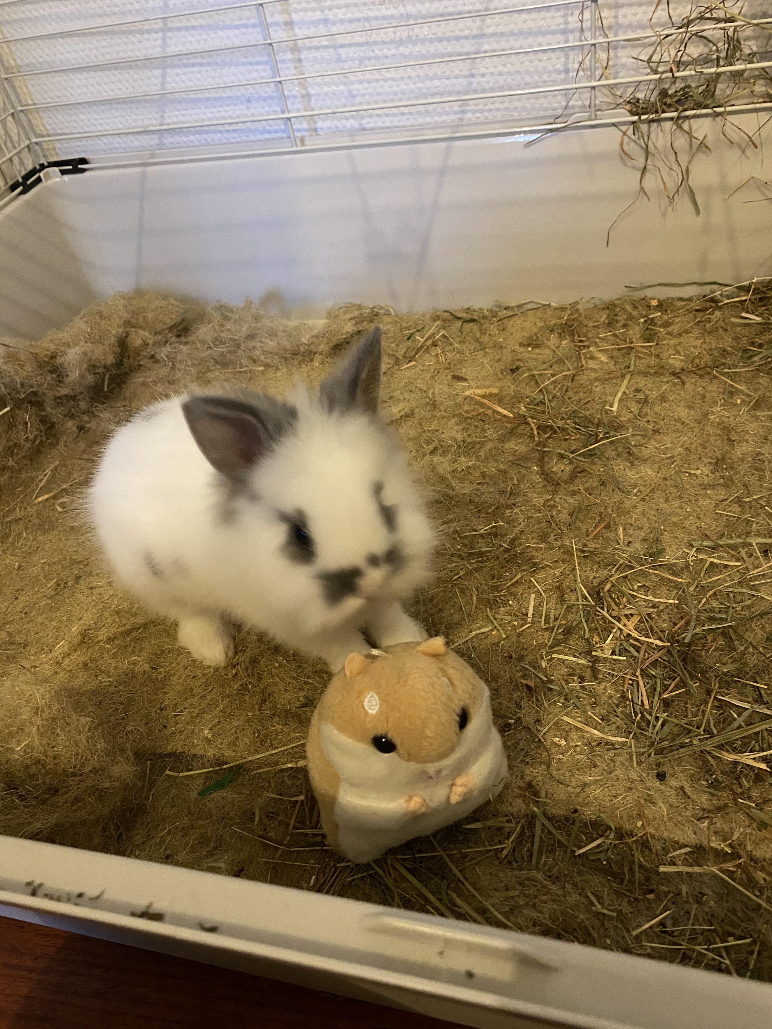 Photo n° 1 de l'avis de Mathilde.A fait le 15/01/2022 à 21:22