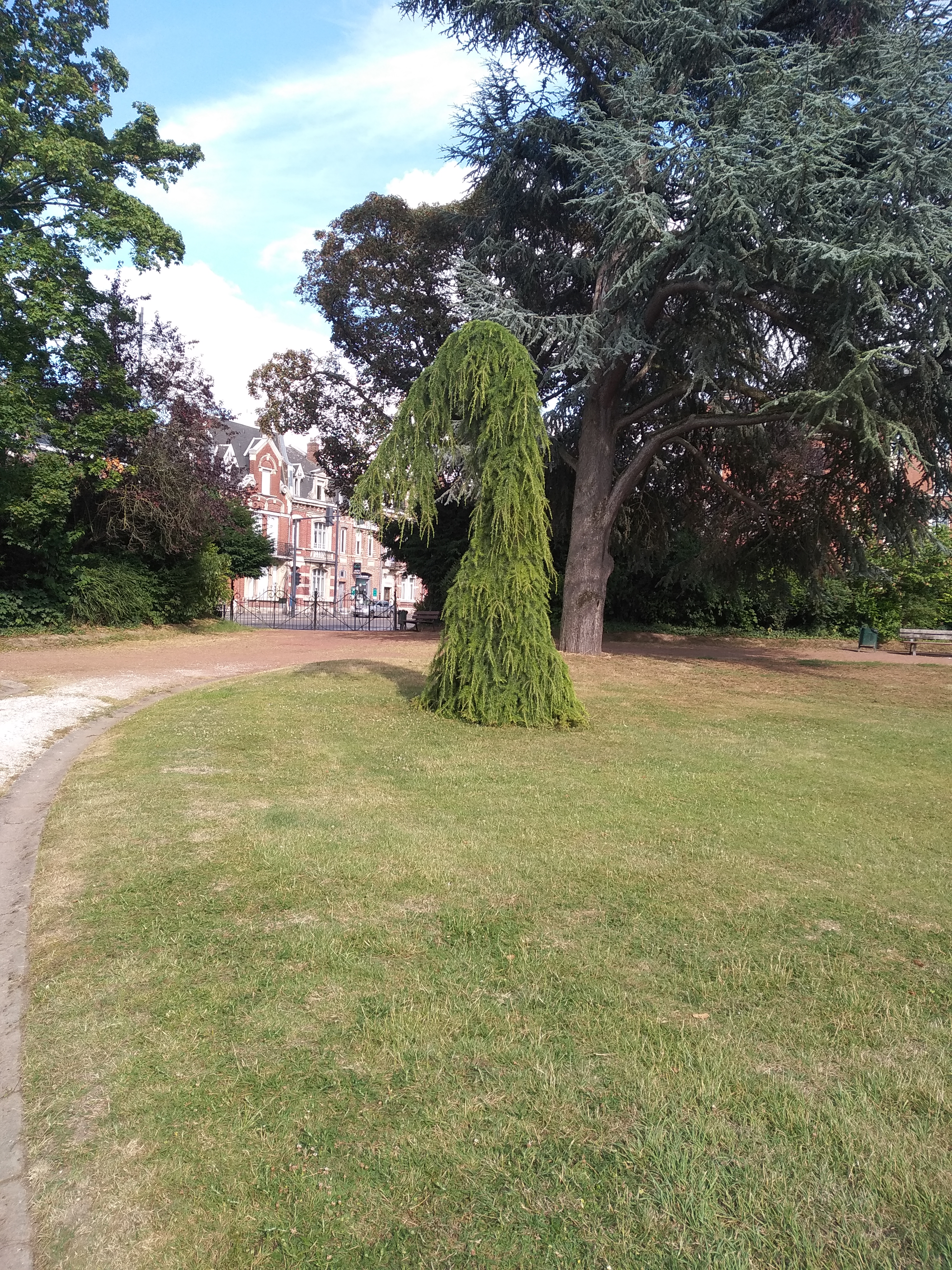 Photo n° 2 de l'avis de Gaetan.h fait le 22/07/2019 à 14:41