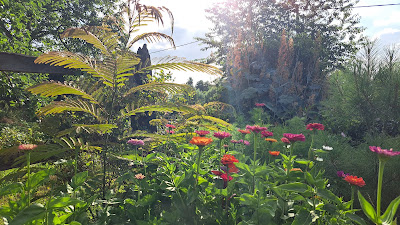 Le Jardin de l'Atelier d'Hélène à La Neuville-aux-Bois