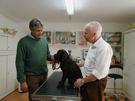 Dr. Hartmut Müller Tierarzt unter Rosengarten, 