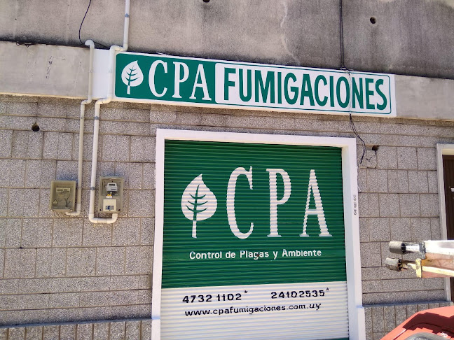 Opiniones de CPA Fumigaciones Salto en Carmelo - Empresa de fumigación y control de plagas