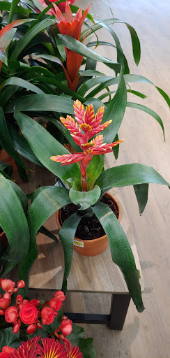 Supermarket «Stater Bros. Markets», reviews and photos, 2841 Mary St, Riverside, CA 92506, USA