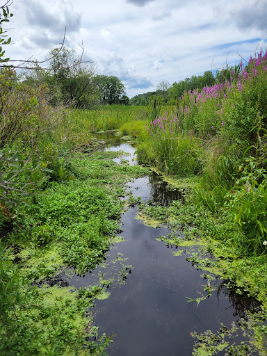 Nature Preserve «Bow in the Clouds Preserve», reviews and photos, 1805 Nazareth Rd, Kalamazoo, MI 49048, USA