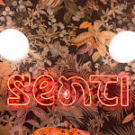 Photo n°1 de l'avis de Adua.a fait le 11/08/2023 à 10:58 sur le  SENTI che pizza à Trani