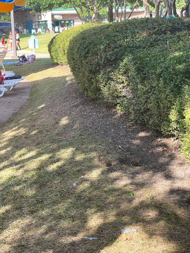 Water Park «NRH2O Family Water Park», reviews and photos, 9001 Boulevard 26, North Richland Hills, TX 76180, USA