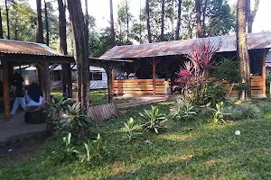 Bukit Gambangan Camping Ground image