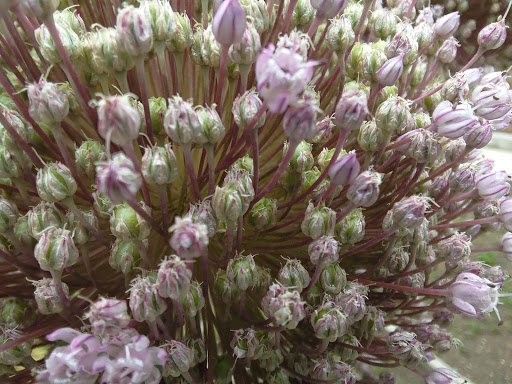 Tourist Attraction «Fremont Troll», reviews and photos, Troll Ave N, Seattle, WA 98103, USA