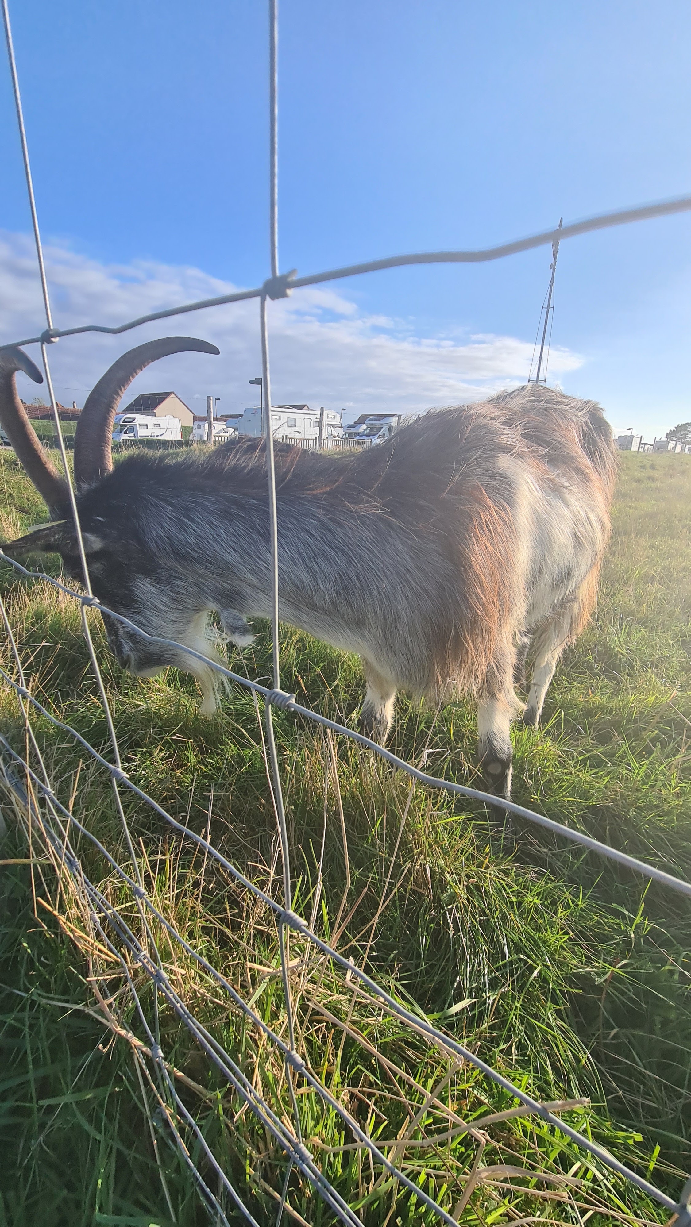 Photo n° 2 de l'avis de Stéphane.a fait le 29/08/2021 à 20:56