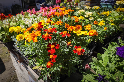 Pet Supply Store «Sutter Orchard Supply», reviews and photos, 573 Bridge St, Yuba City, CA 95991, USA