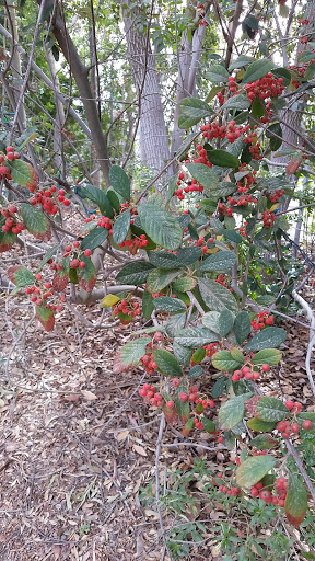 Park «Heritage Hill Historical Park», reviews and photos, 25151 Serrano Rd, Lake Forest, CA 92630, USA