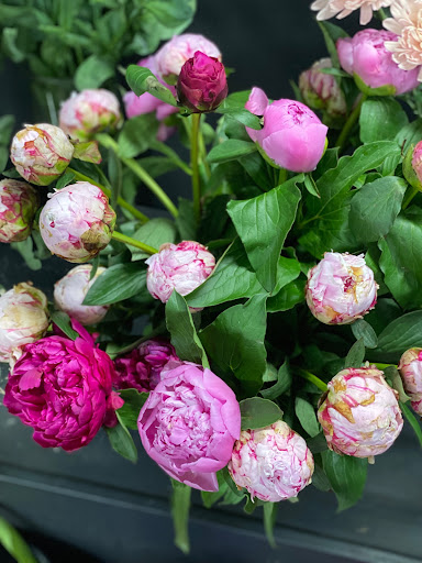 Florist «Mille Fleurs», reviews and photos, 4901 Keller Springs Rd #109, Addison, TX 75001, USA