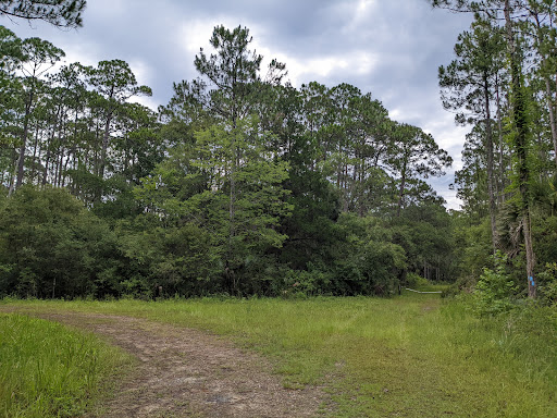 Florida Trail Wakulla Beach Rd Trailhead