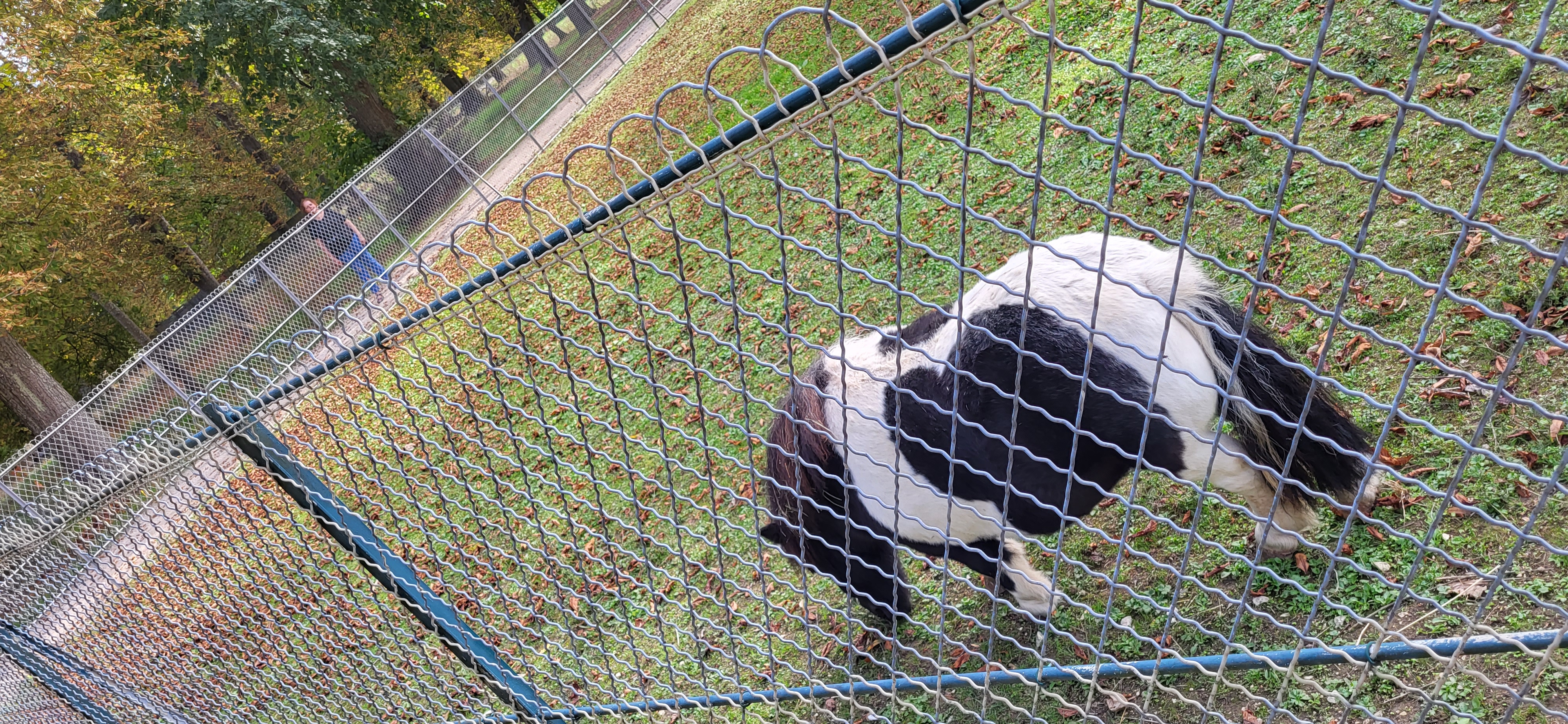 Photo n° 6 de l'avis de kinder.e fait le 29/09/2023 à 14:50
