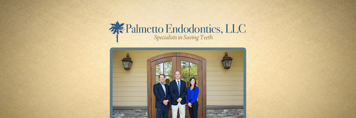 Palmetto Endodontics