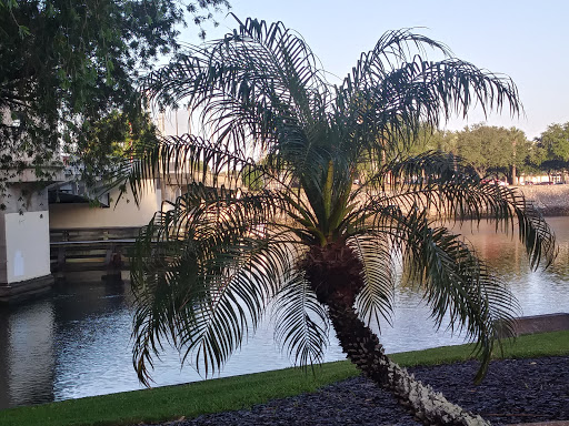 Park «Curtis Hixon Waterfront Park», reviews and photos, 600 N Ashley Dr, Tampa, FL 33602, USA