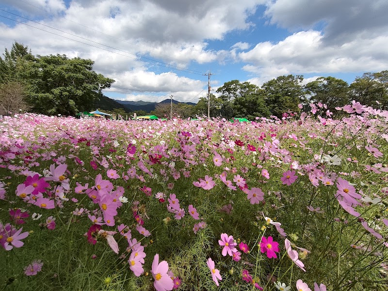 宮の前公園