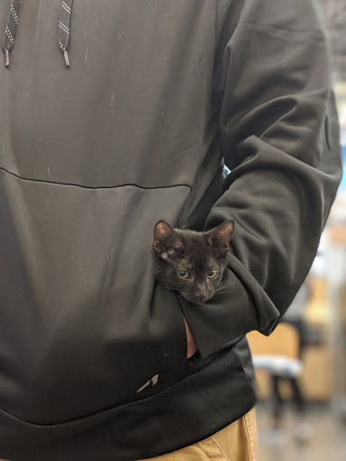 Pet Supply Store «Petco Animal Supplies», reviews and photos, 12444 NW 10th St #301, Yukon, OK 73099, USA